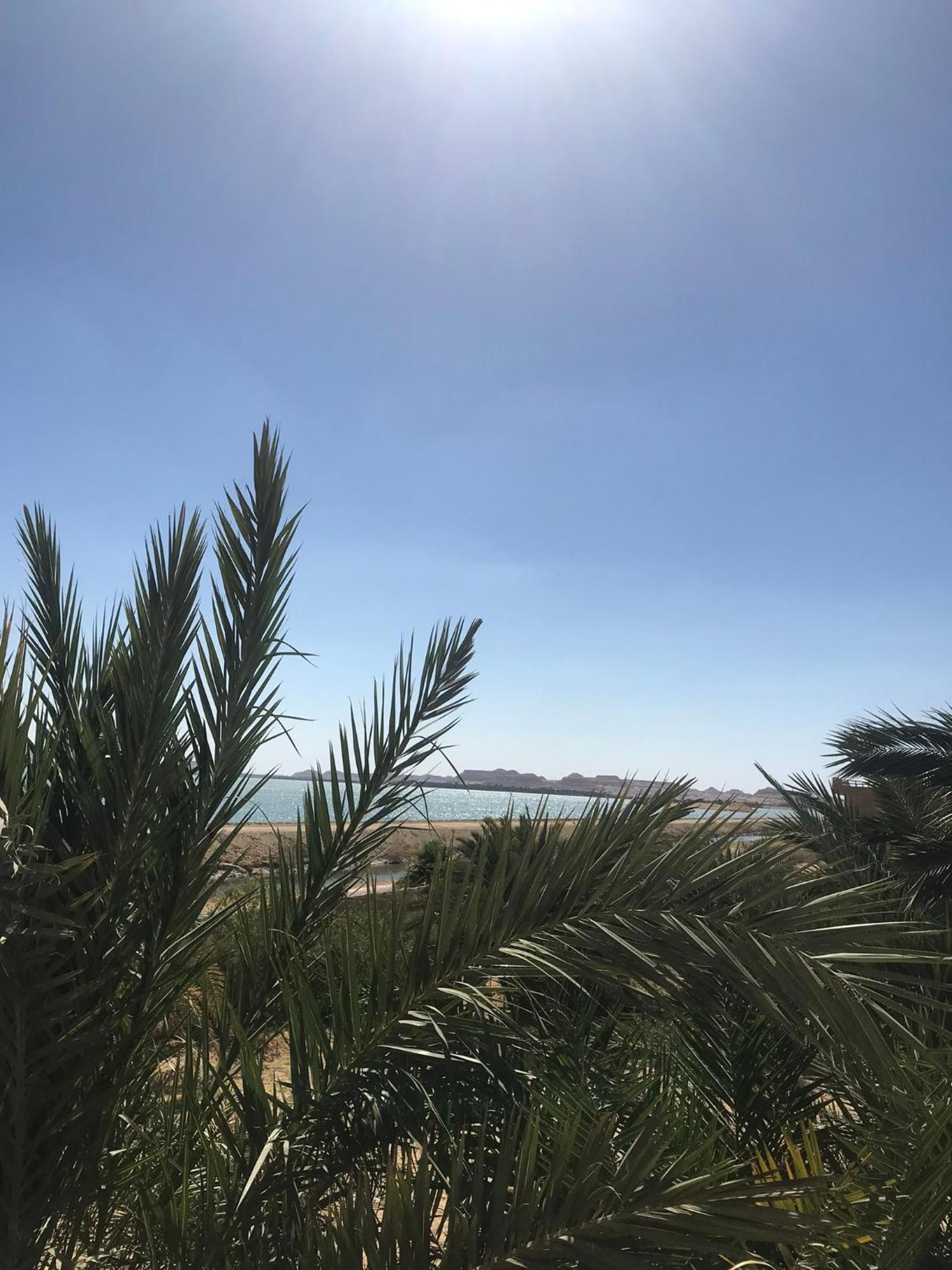 Hotel The Nest Siwa Oasis Exterior foto